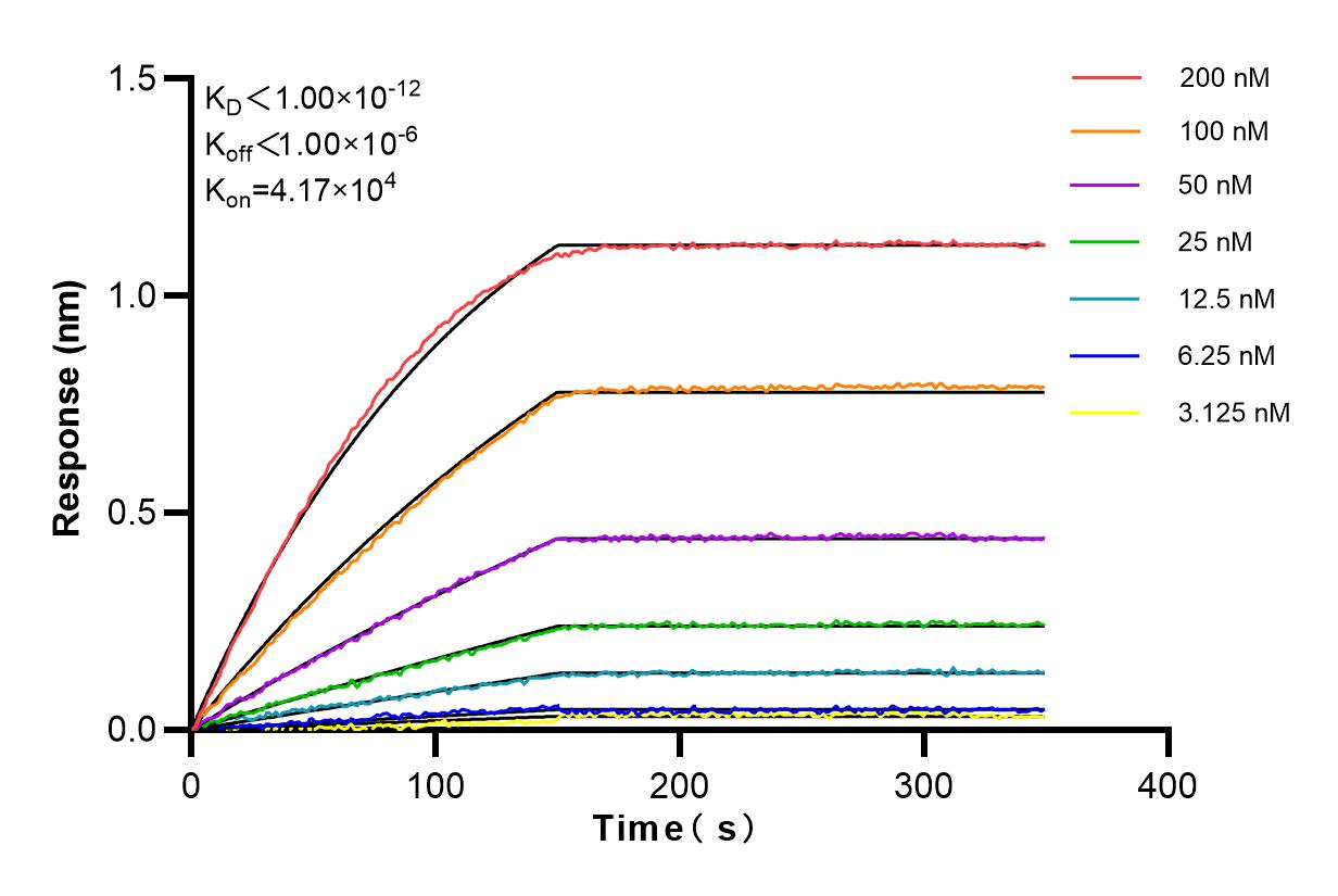 Affinity and Kinetic Characterization of 83087-2-RR