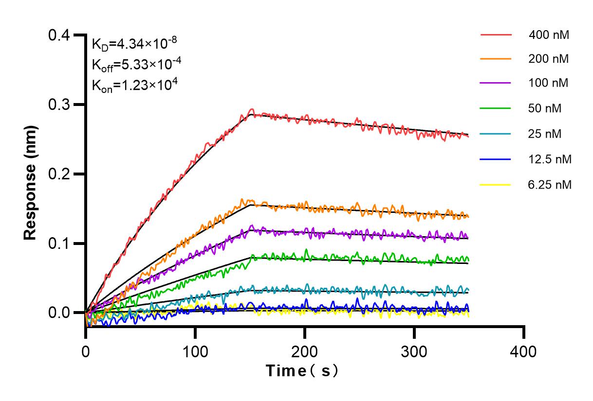 Affinity and Kinetic Characterization of 83090-1-RR