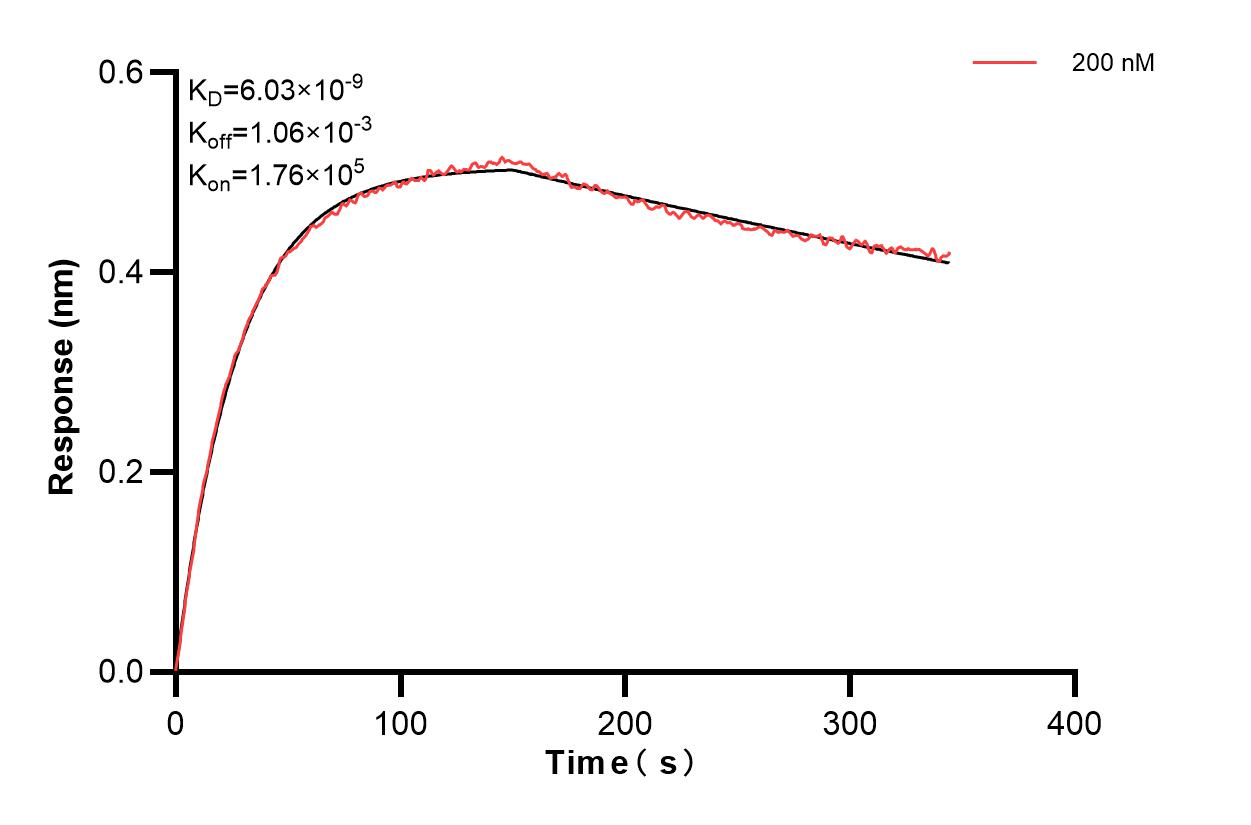 Affinity and Kinetic Characterization of 83101-3-PBS
