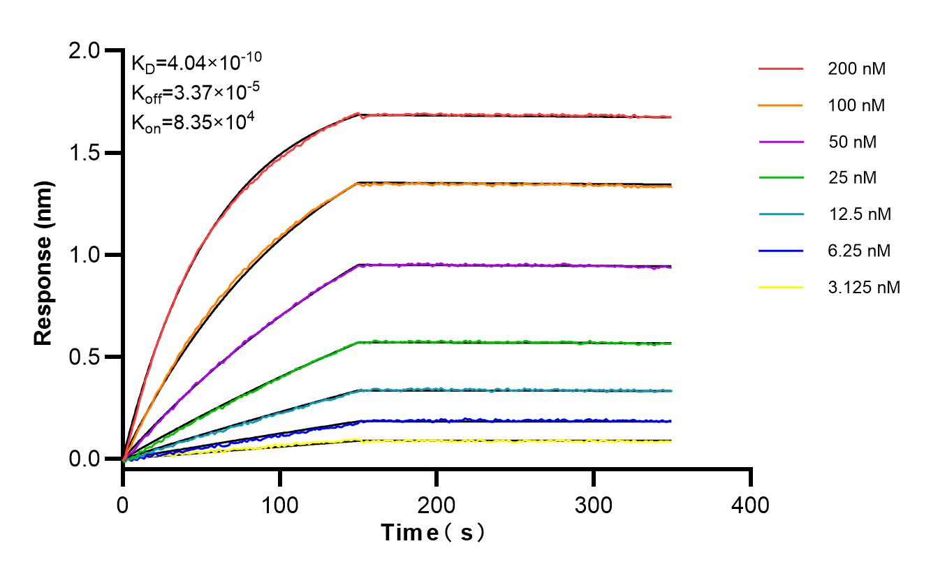 Affinity and Kinetic Characterization of 83112-2-RR