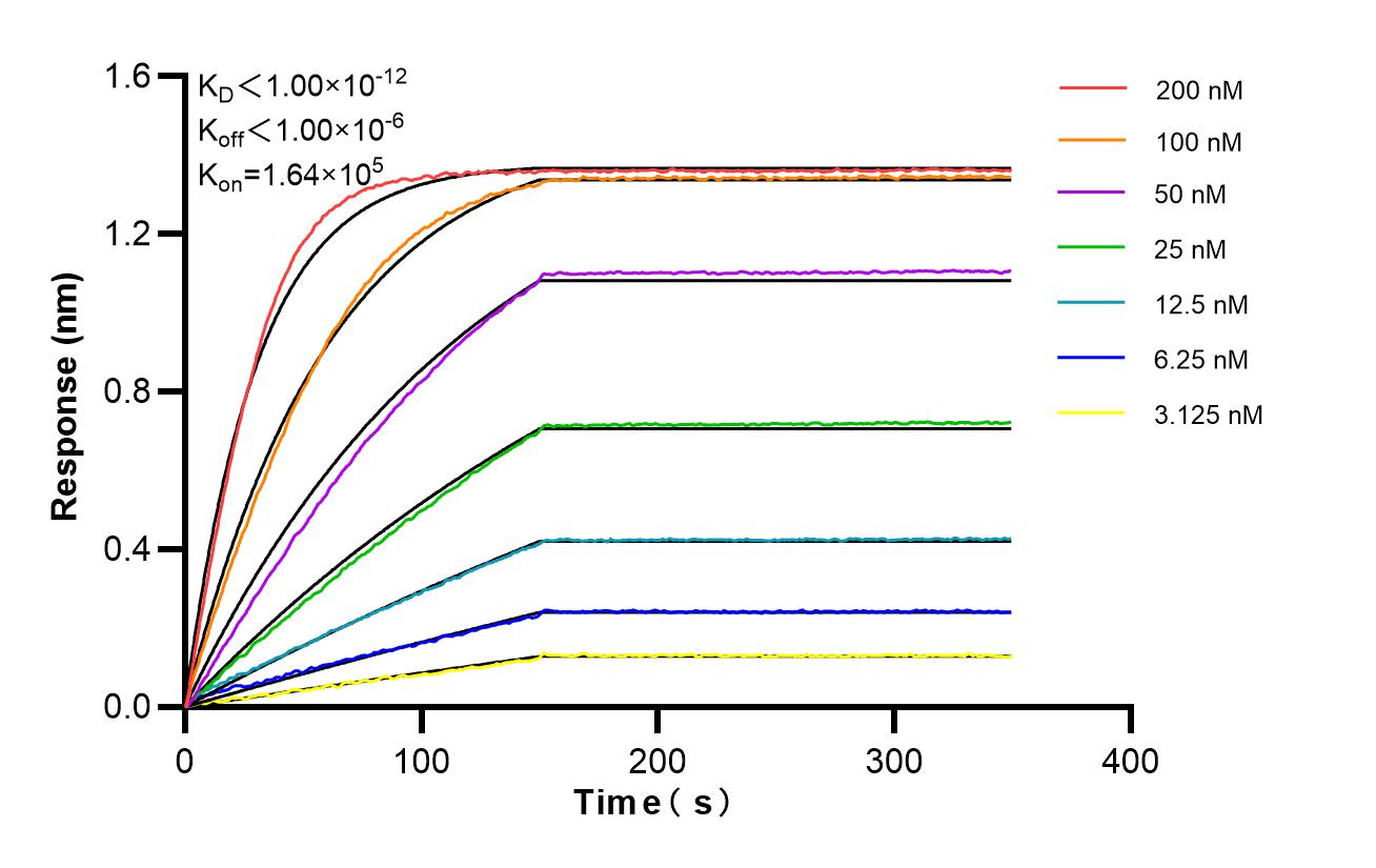 Affinity of 83114-6-RR Affinity of 83114-6-RR