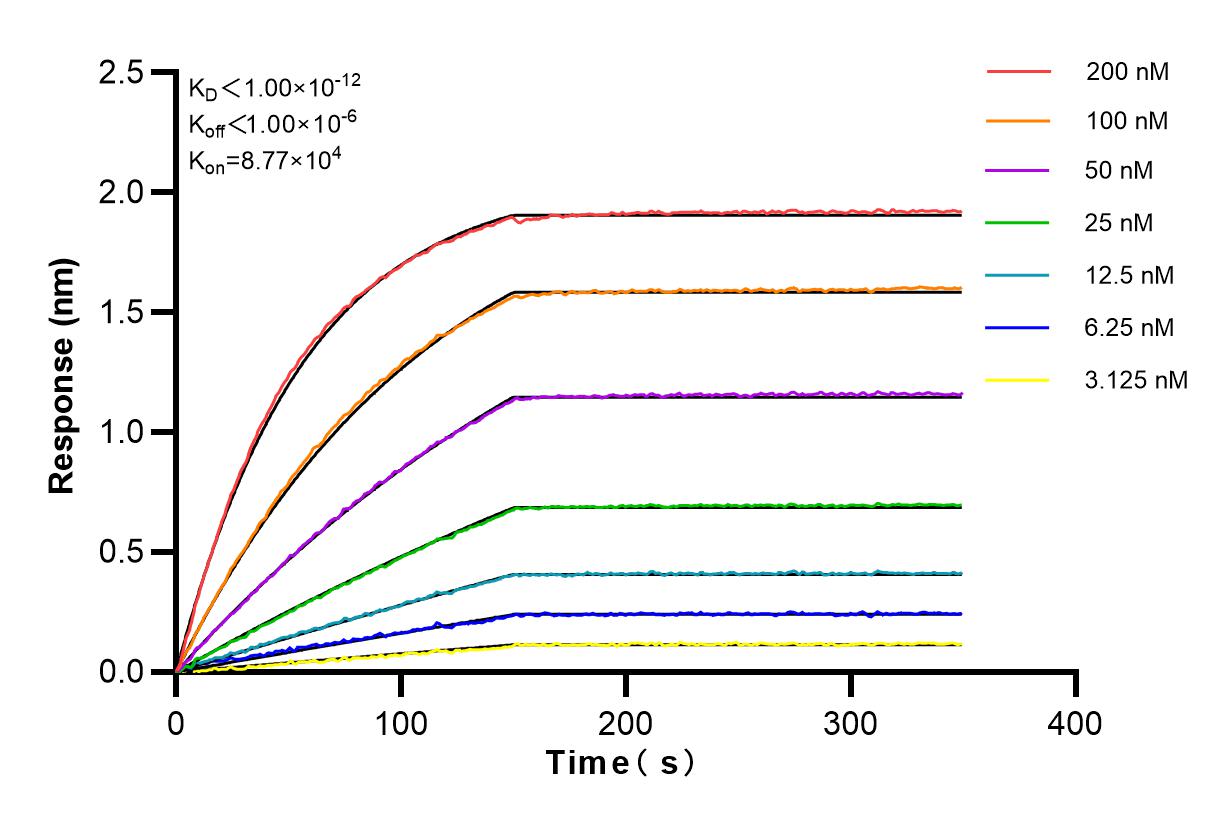 Affinity and Kinetic Characterization of 83136-3-RR