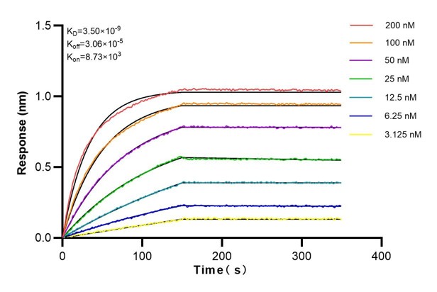 Affinity and Kinetic Characterization of 83141-2-PBS