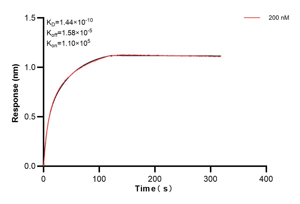 Affinity and Kinetic Characterization of 83150-1-PBS