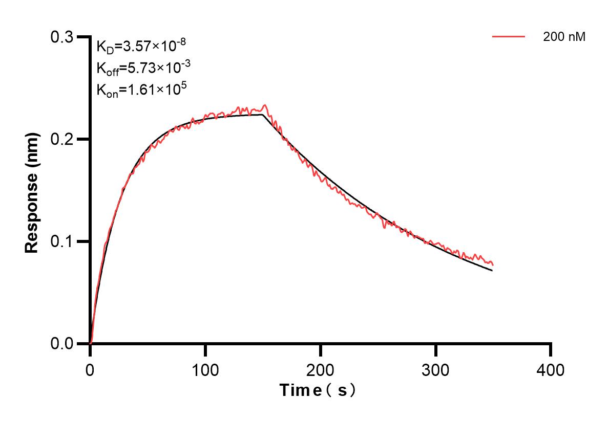 Affinity and Kinetic Characterization of 83157-1-PBS