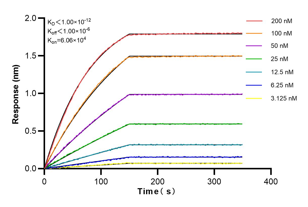 Affinity and Kinetic Characterization of 83188-4-RR