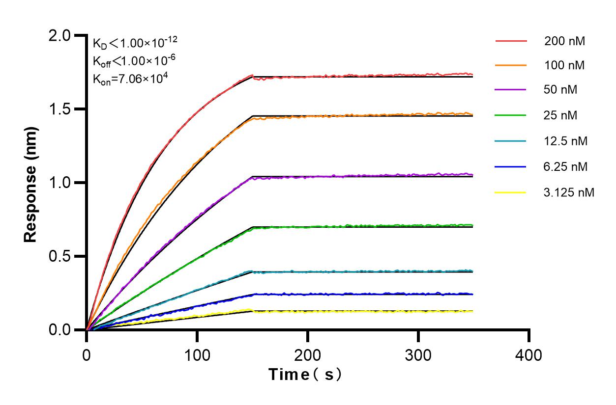 Affinity and Kinetic Characterization of 83196-4-RR