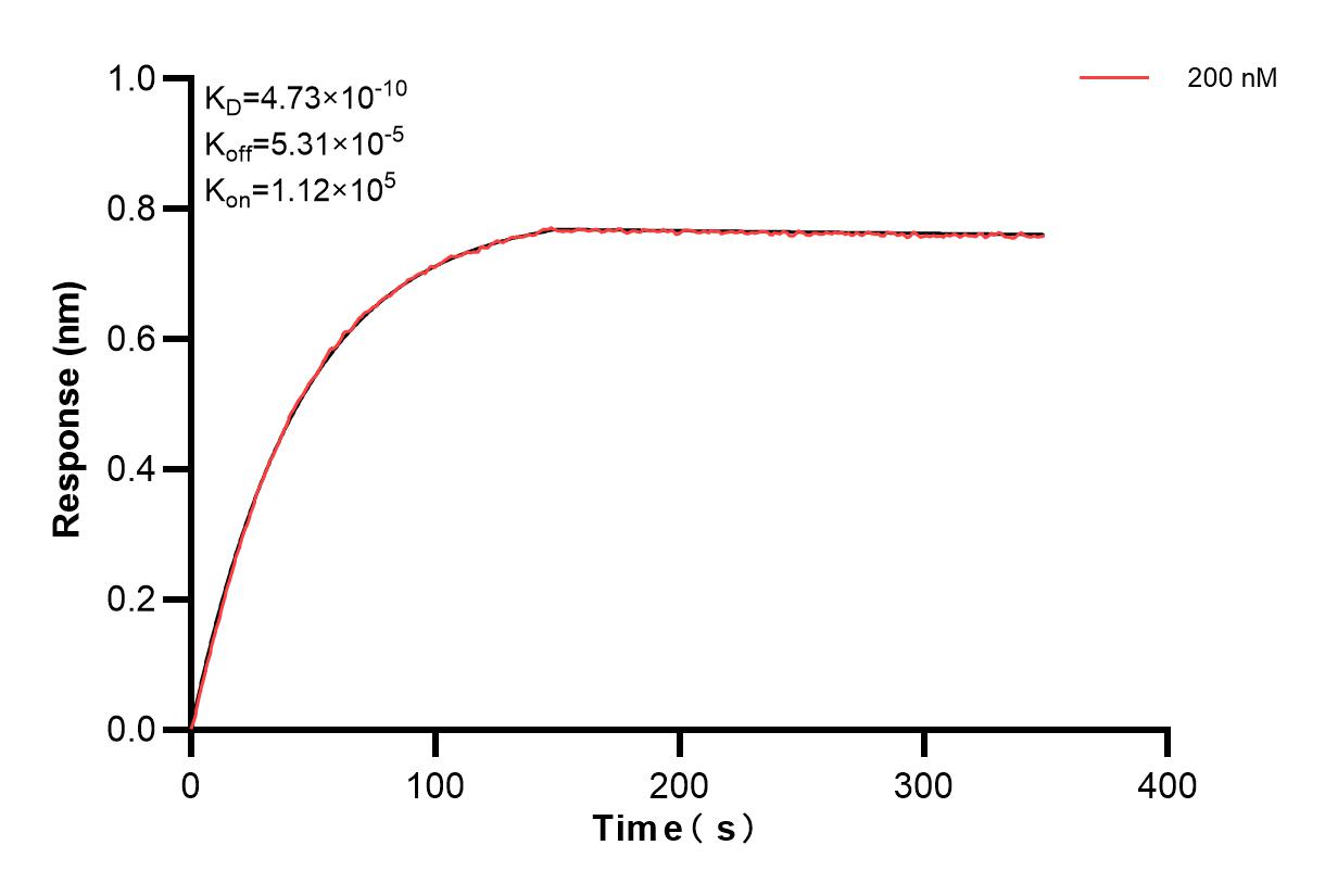 Affinity and Kinetic Characterization of 83199-2-PBS