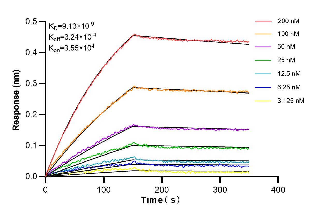 Affinity of 83213-10-RR Affinity of 83213-10-RR