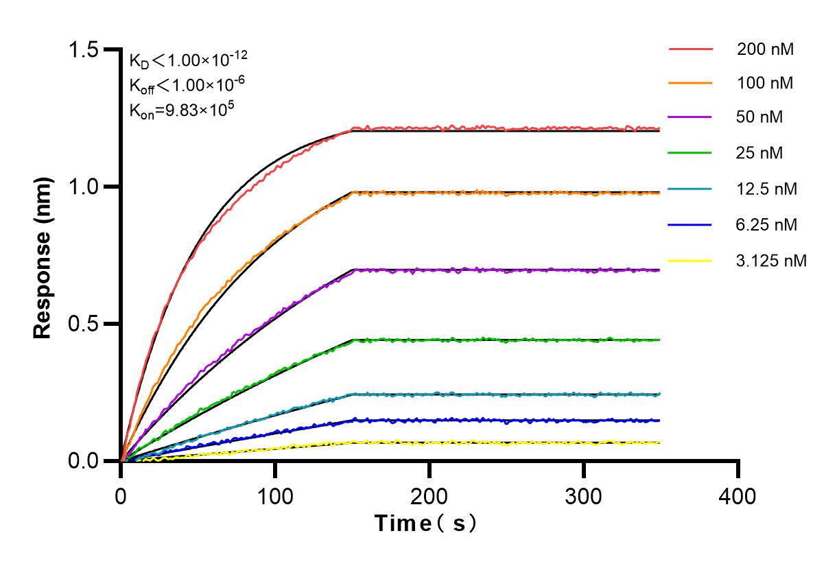 Affinity and Kinetic Characterization of 83227-3-RR