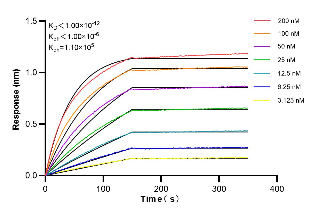 Affinity of 83229-5-RR