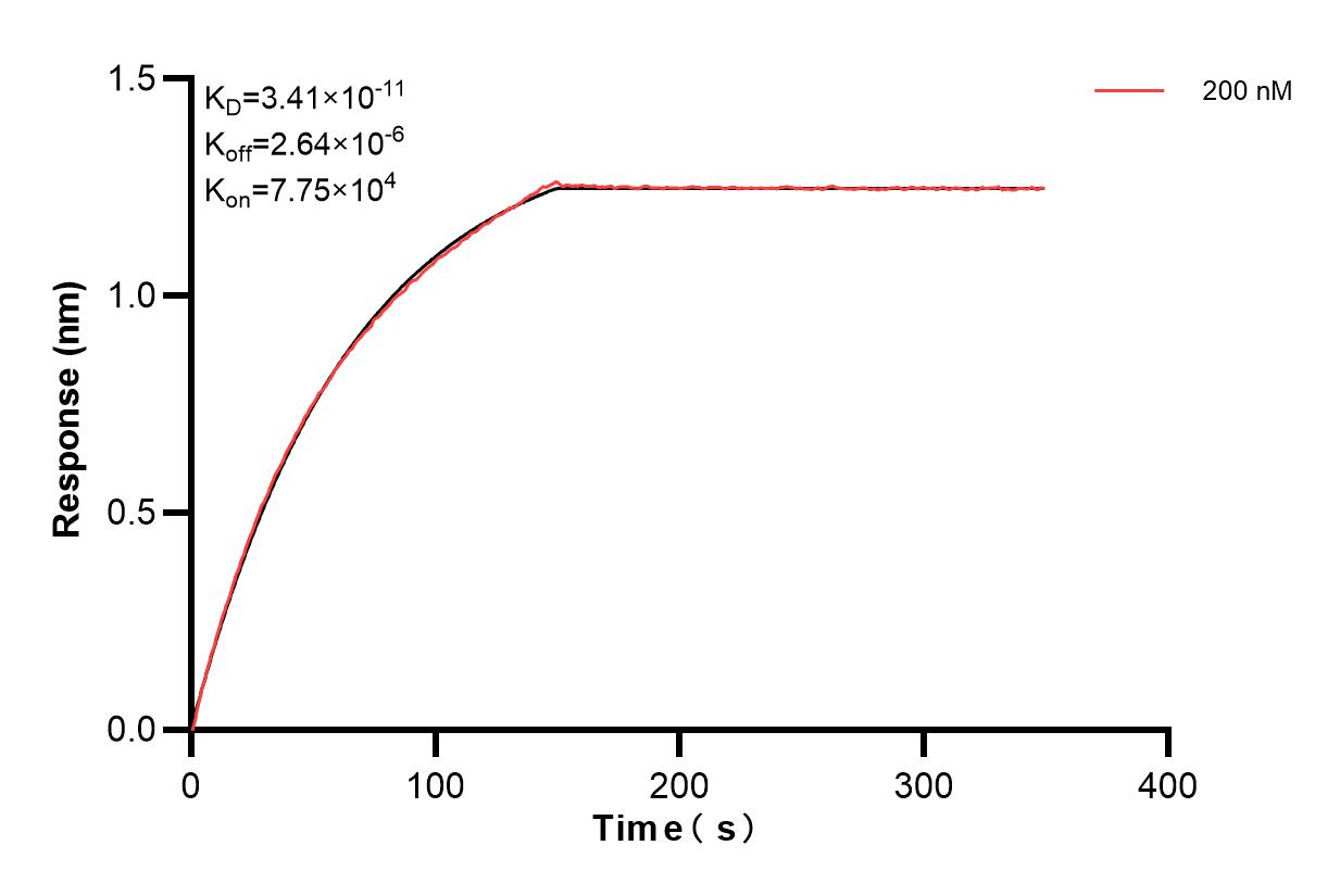 Affinity of 83241-3-PBS