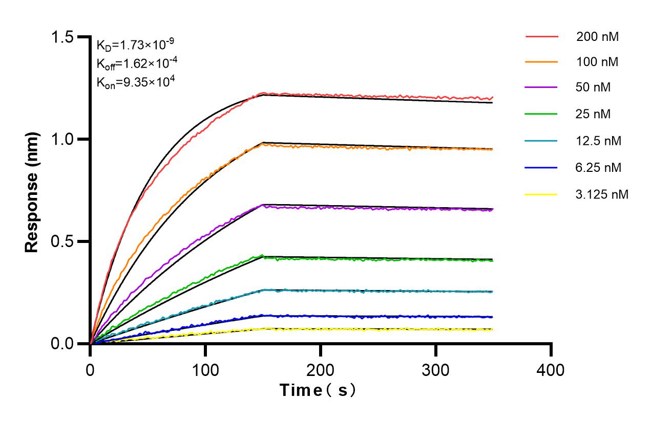 Affinity and Kinetic Characterization of 83265-7-PBS
