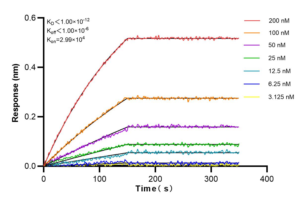 Affinity and Kinetic Characterization of 83295-1-RR