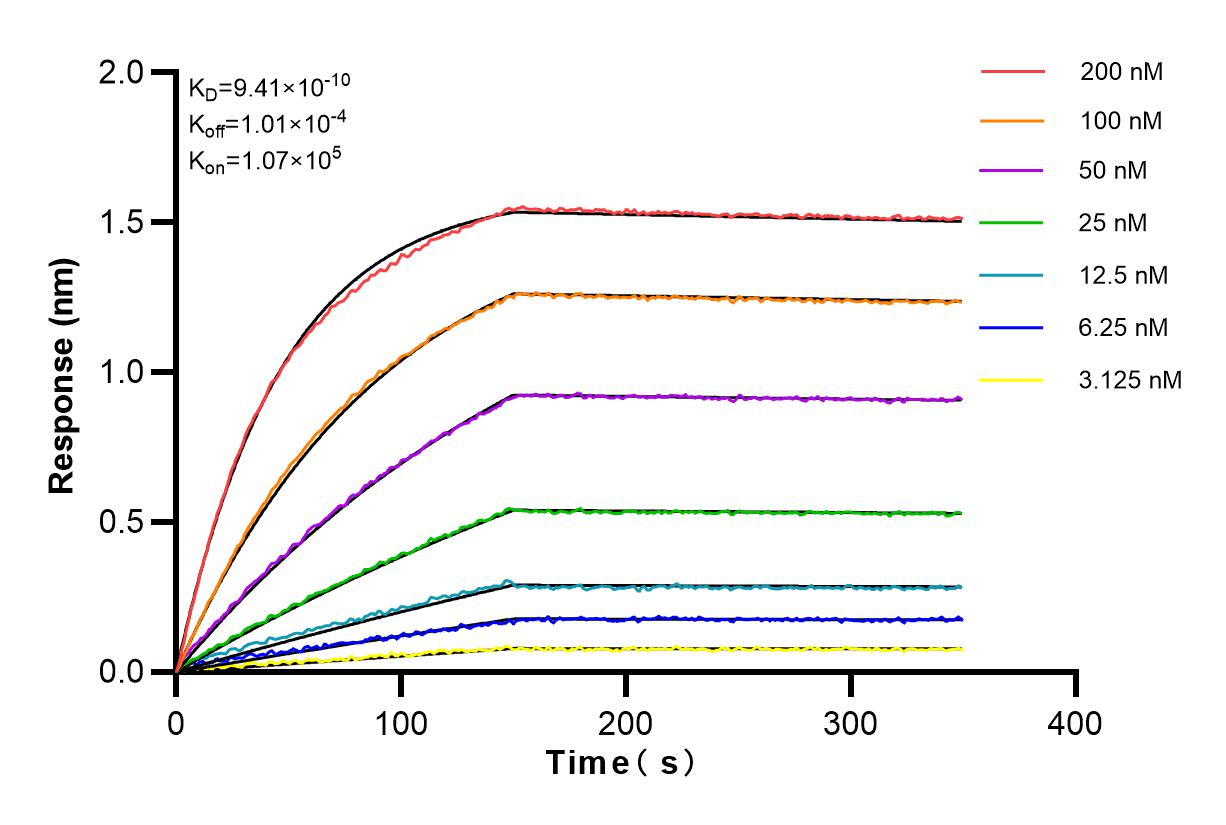 Affinity and Kinetic Characterization of 83316-2-PBS
