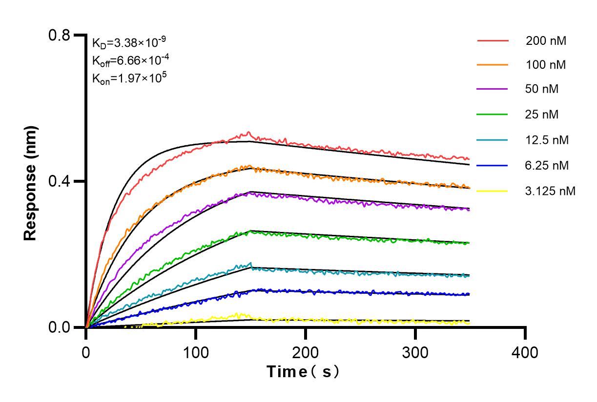 Affinity and Kinetic Characterization of 83356-5-RR