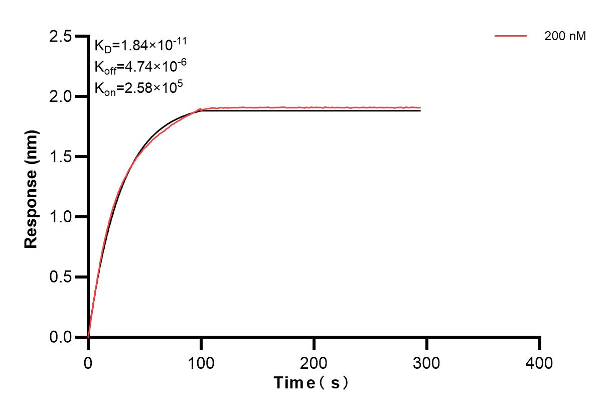 Affinity and Kinetic Characterization of 83362-1-PBS