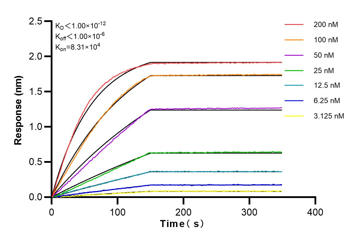 Affinity and Kinetic Characterization of 83363-1-RR