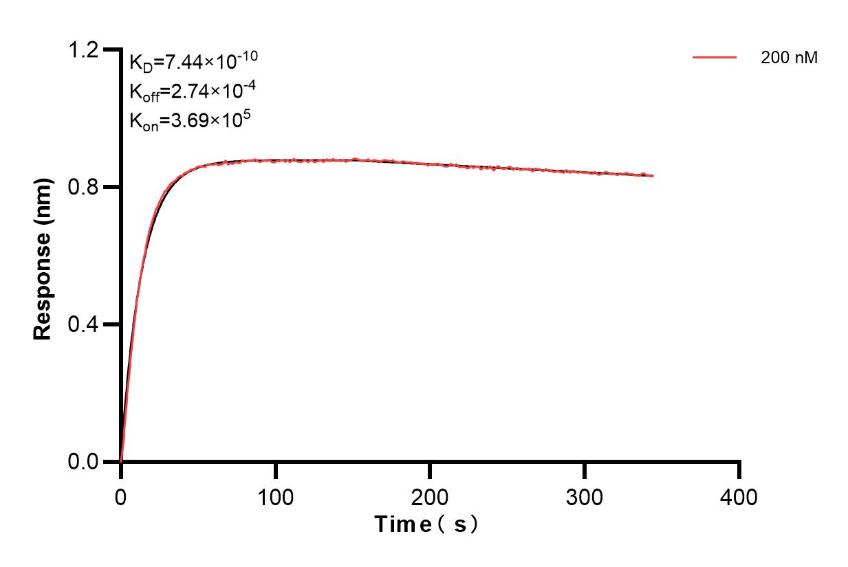 Affinity and Kinetic Characterization of 83372-2-PBS