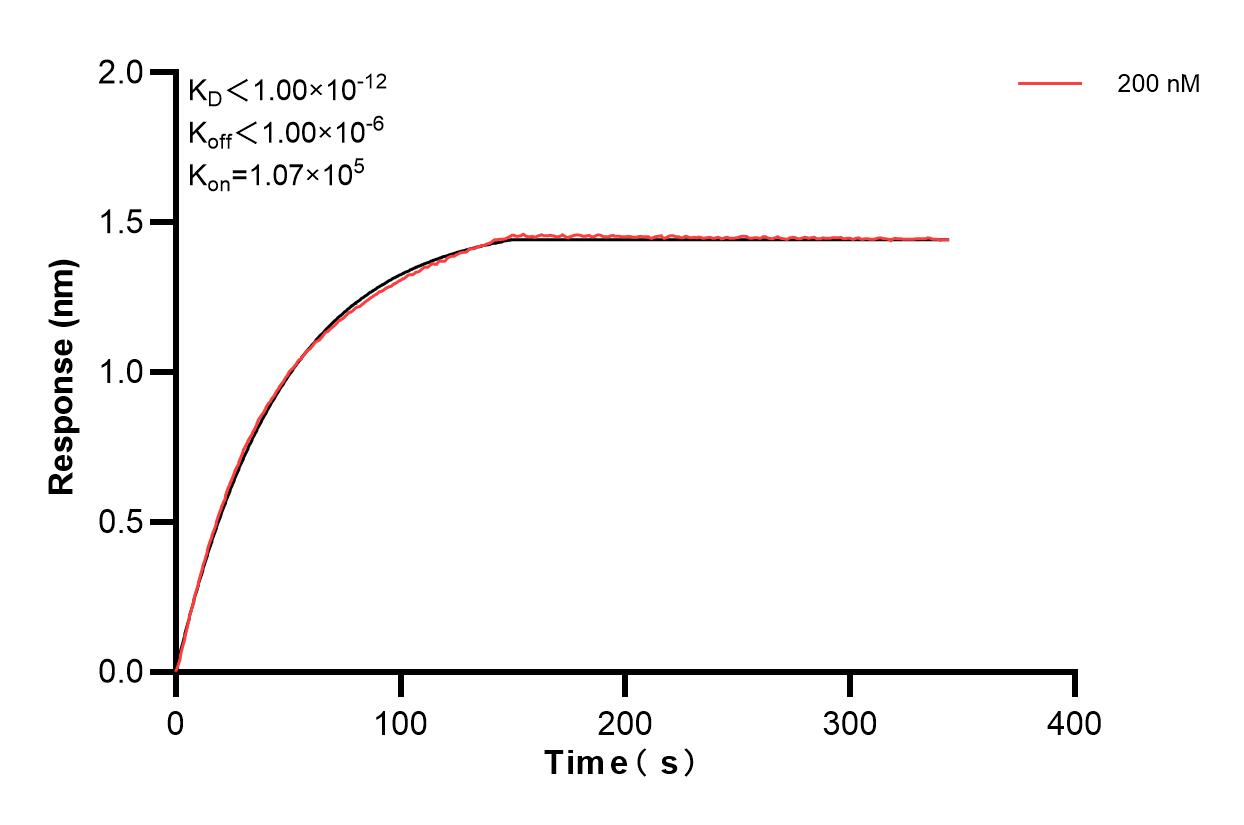 Affinity and Kinetic Characterization of 83372-5-PBS