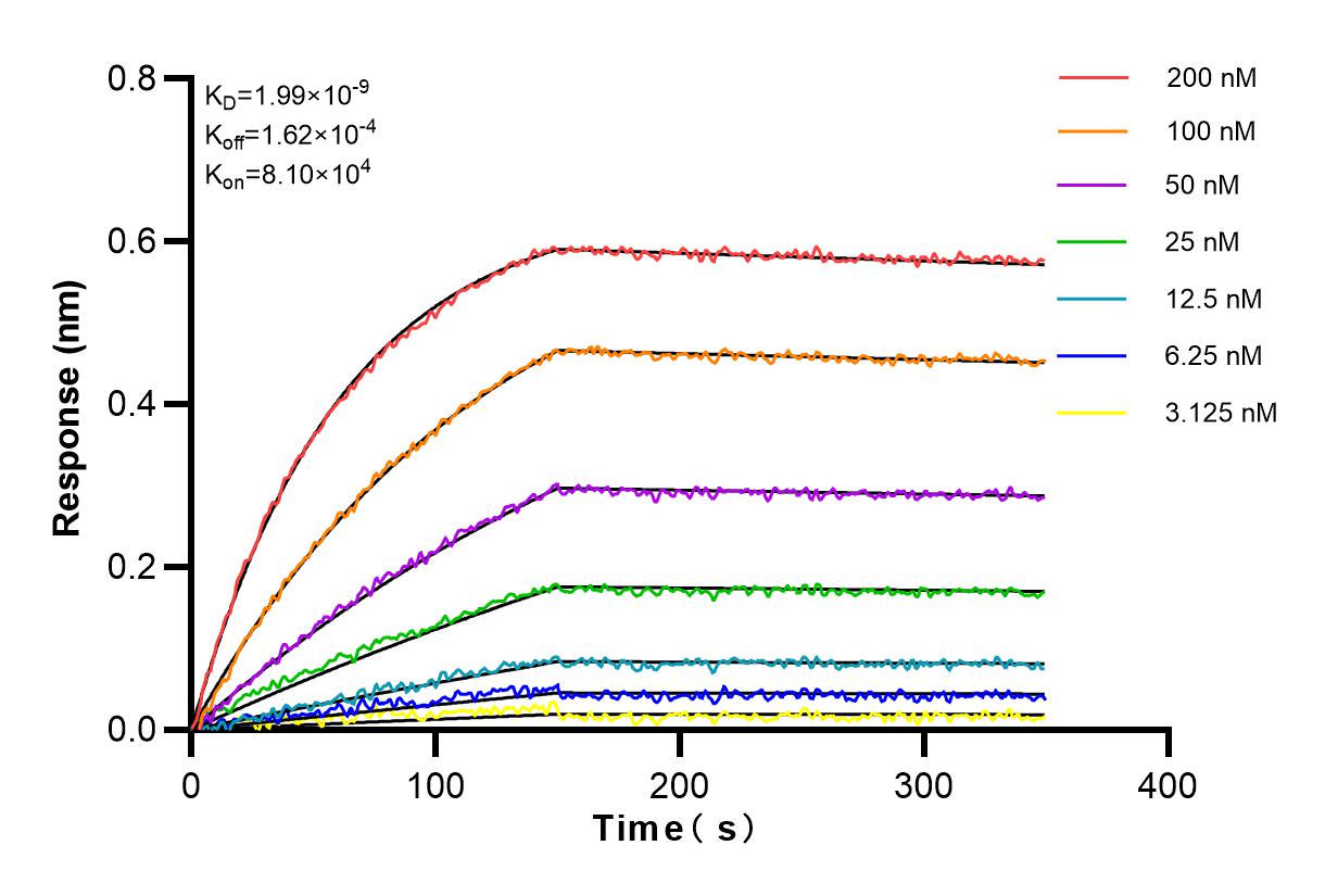 Affinity and Kinetic Characterization of 83383-6-PBS