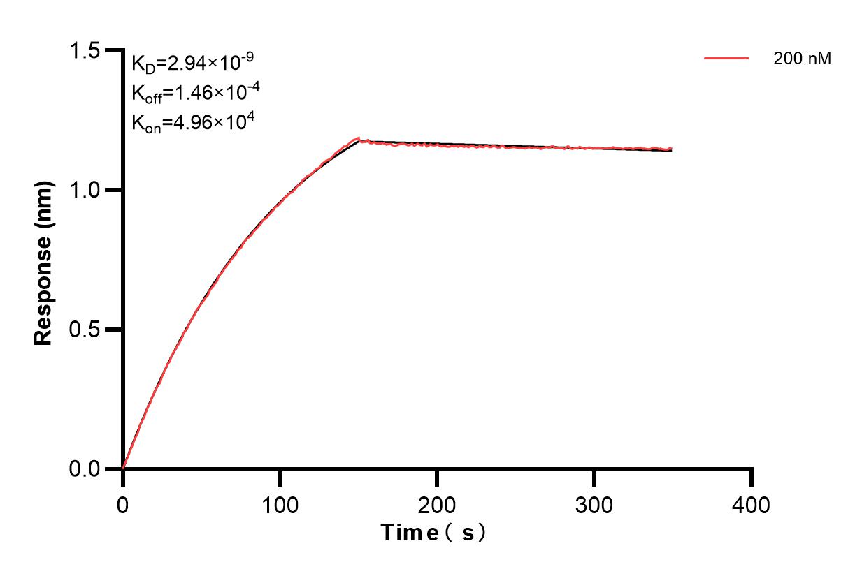 Affinity and Kinetic Characterization of 83386-6-PBS