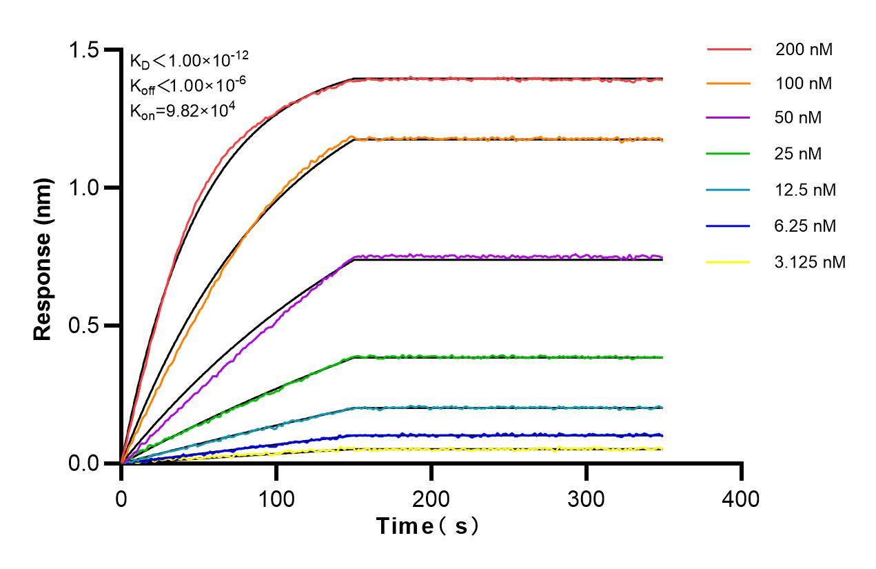 Affinity and Kinetic Characterization of 83390-6-RR
