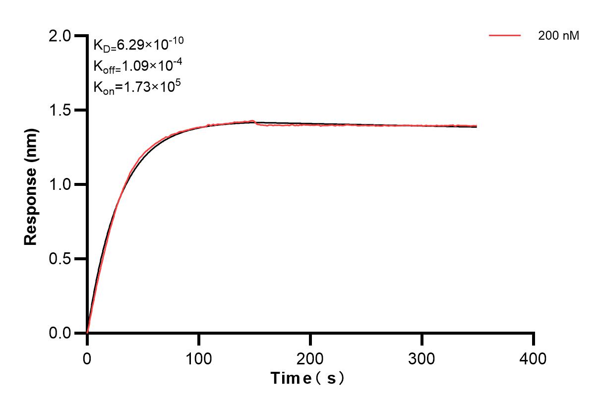 Affinity and Kinetic Characterization of 83393-5-PBS