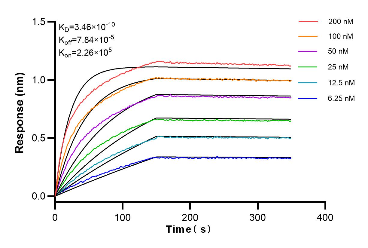 Affinity and Kinetic Characterization of 83396-12-RR