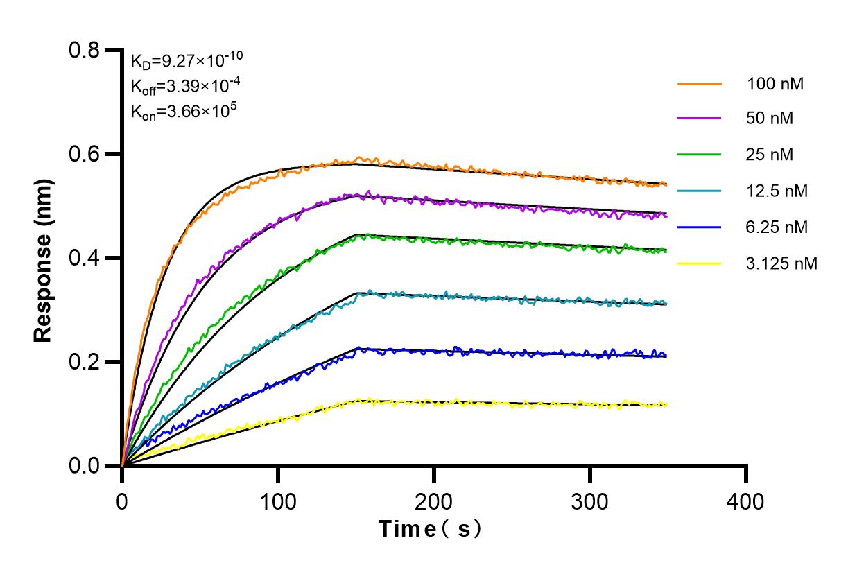 Affinity and Kinetic Characterization of 83400-5-RR