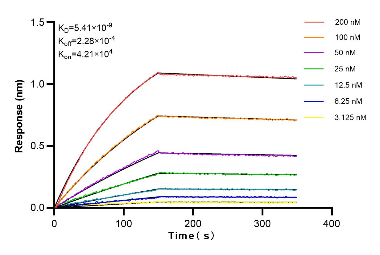 Affinity and Kinetic Characterization of 83401-4-RR
