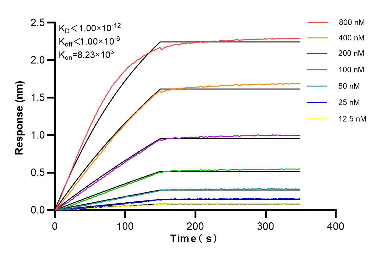 Affinity and Kinetic Characterization of 83412-4-RR