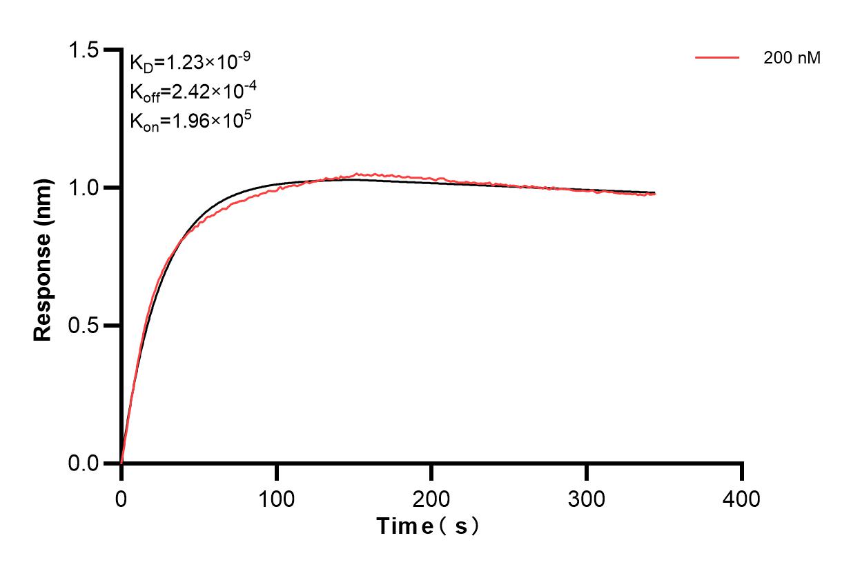 Biolayer interferometry (BLl) kinetic assay of 83456-7-PBS against Human PMS1 was performed. The affinity constant is 1.23 nM. Affinity of 83456-7-PBS