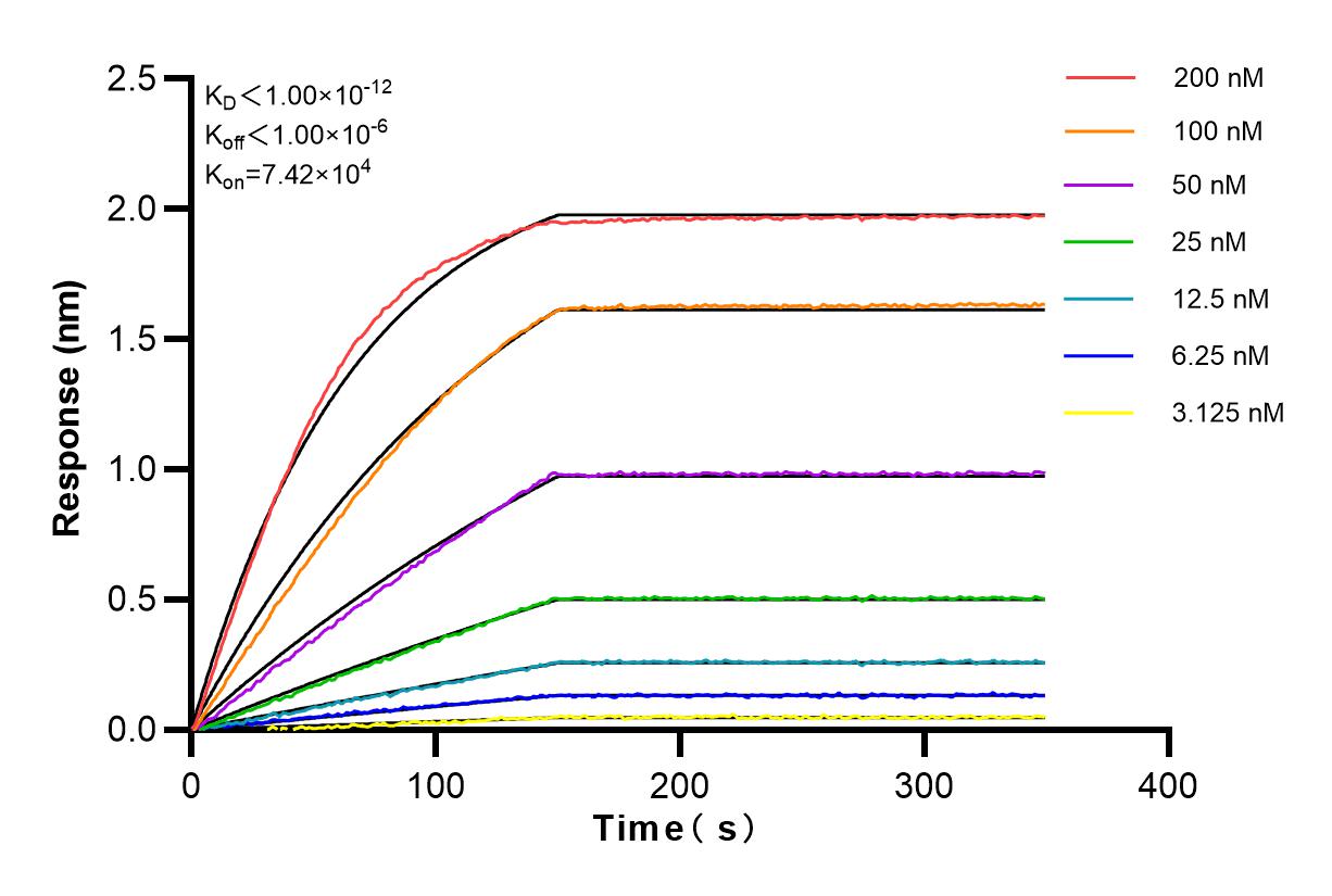Affinity and Kinetic Characterization of 83457-1-RR