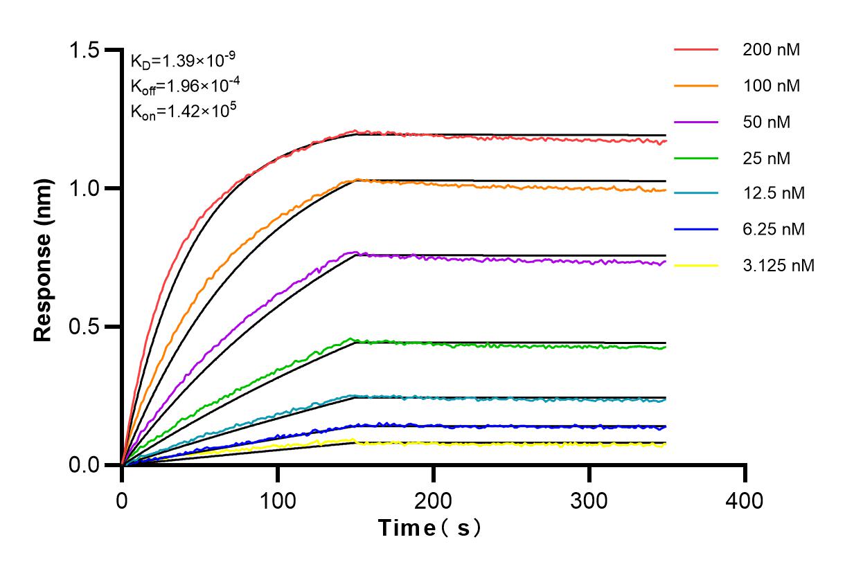 Affinity and Kinetic Characterization of 83461-1-RR