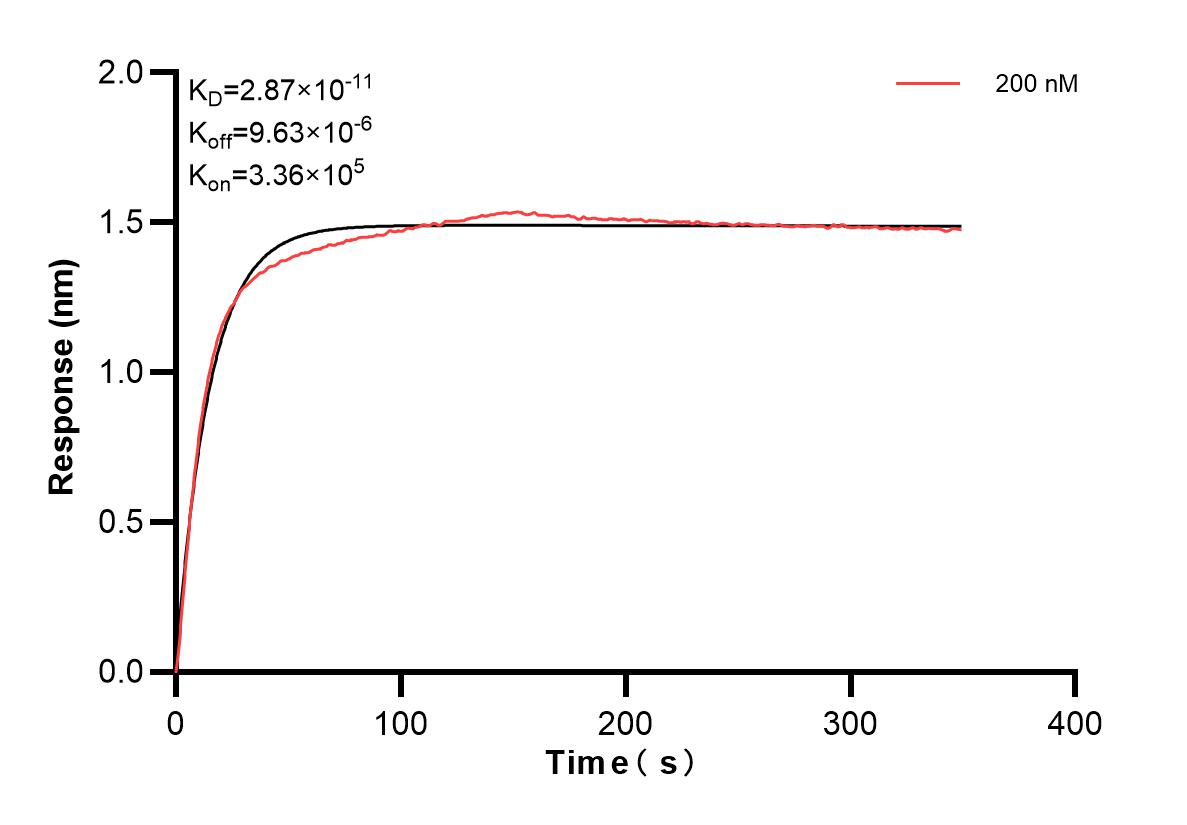 Affinity and Kinetic Characterization of 83467-1-PBS