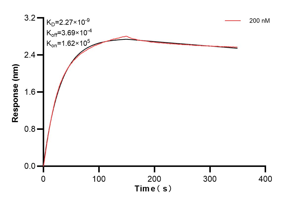 Affinity and Kinetic Characterization of 83467-3-PBS