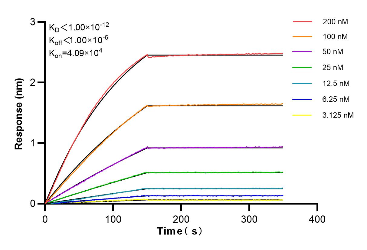 Affinity and Kinetic Characterization of 83481-5-RR