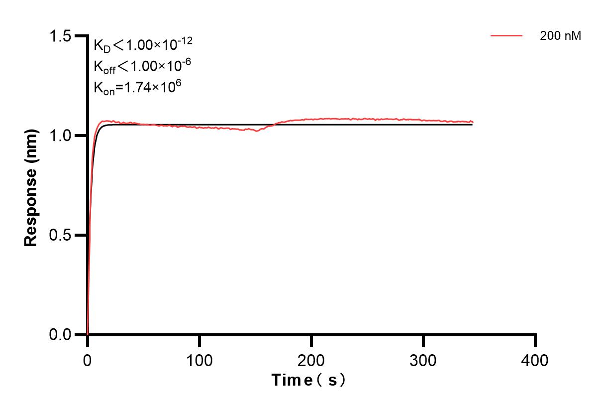 Affinity and Kinetic Characterization of 83513-3-PBS