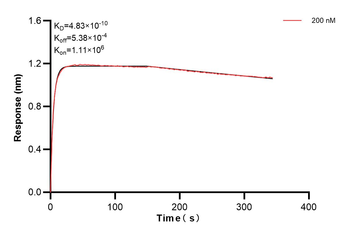 Affinity and Kinetic Characterization of 83513-4-PBS