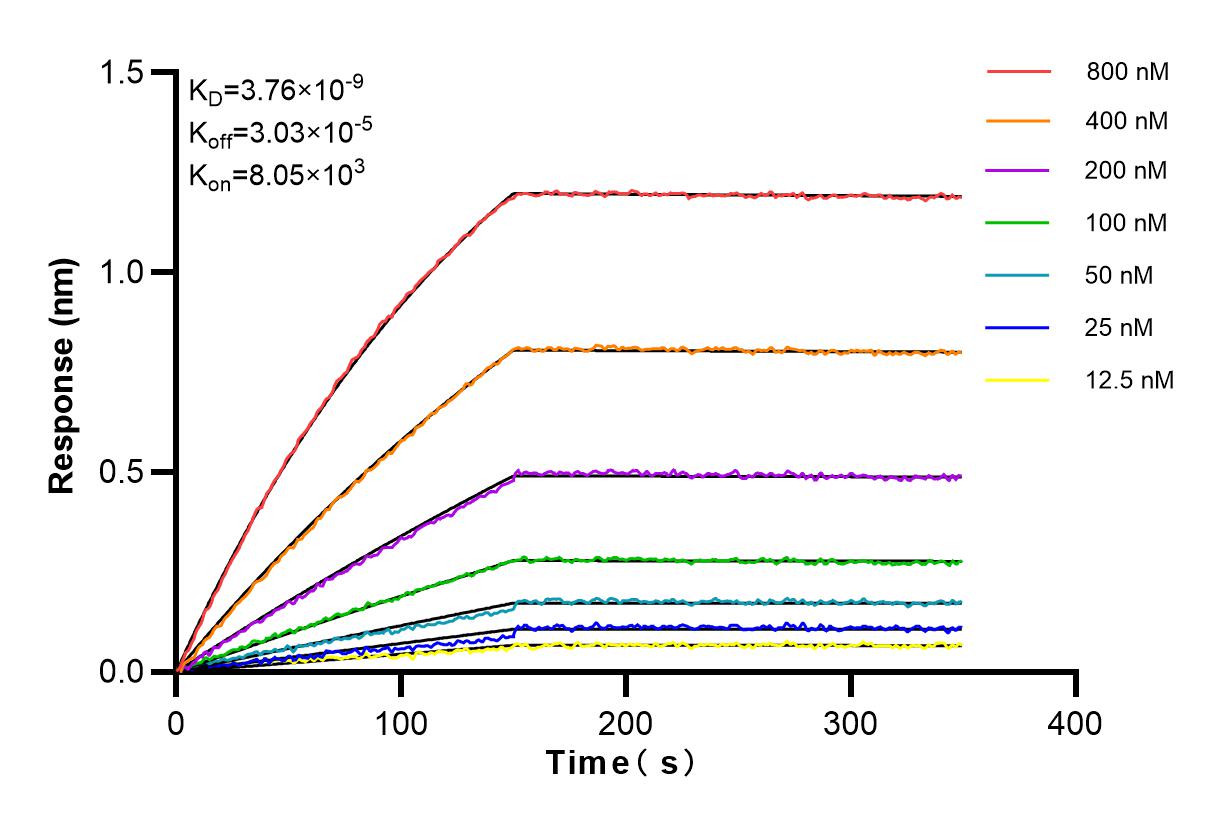 Affinity and Kinetic Characterization of 83550-4-RR