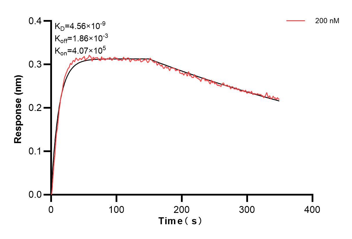 Affinity and Kinetic Characterization of 83558-1-PBS