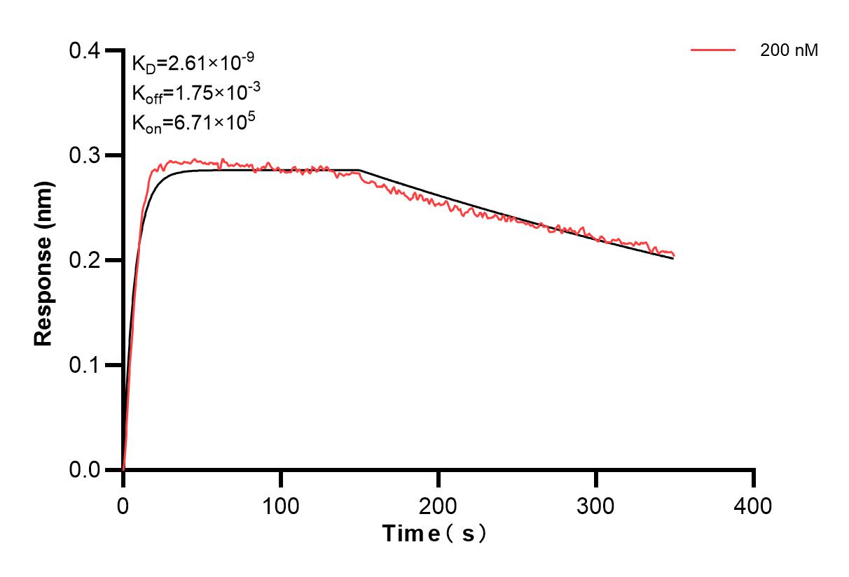 Affinity and Kinetic Characterization of 83558-4-PBS