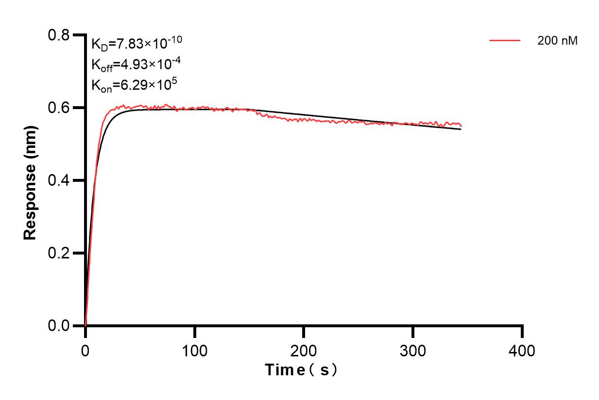 Affinity and Kinetic Characterization of 83572-1-PBS