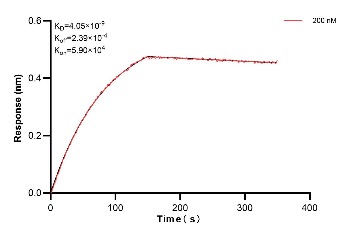 Biolayer interferometry (BLl) kinetic assays of 83578-8-PBS against Human S100A9 were performed. The affinity constant is 4.05 nM. Affinity and Kinetic Characterization of 83578-8-PBS