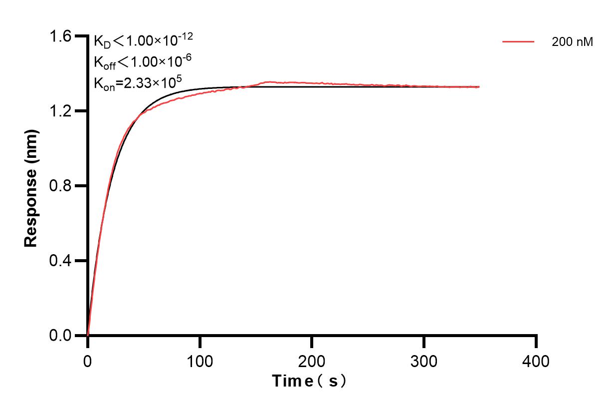 Affinity of 83597-2-PBS