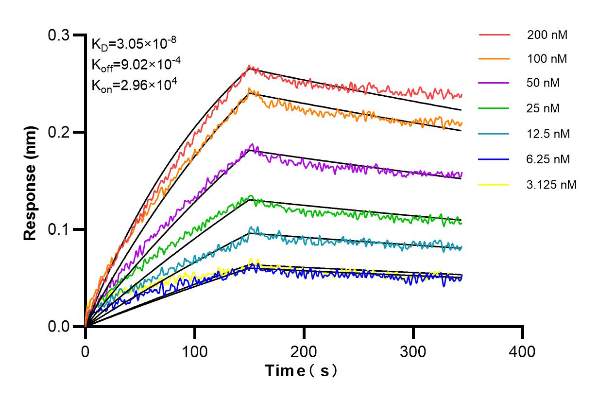 Affinity and Kinetic Characterization of 83598-4-RR