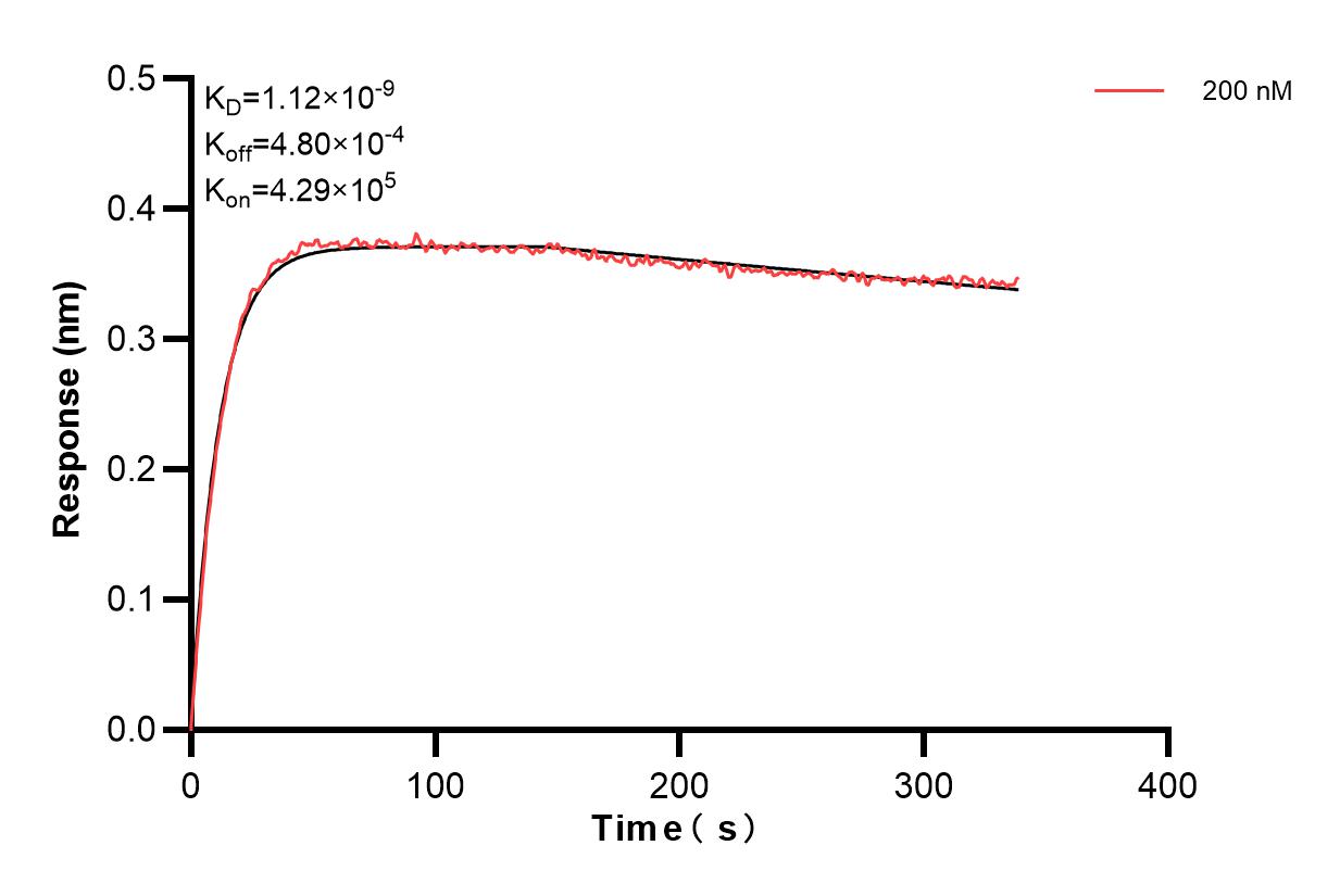 Affinity and Kinetic Characterization of 83605-2-PBS