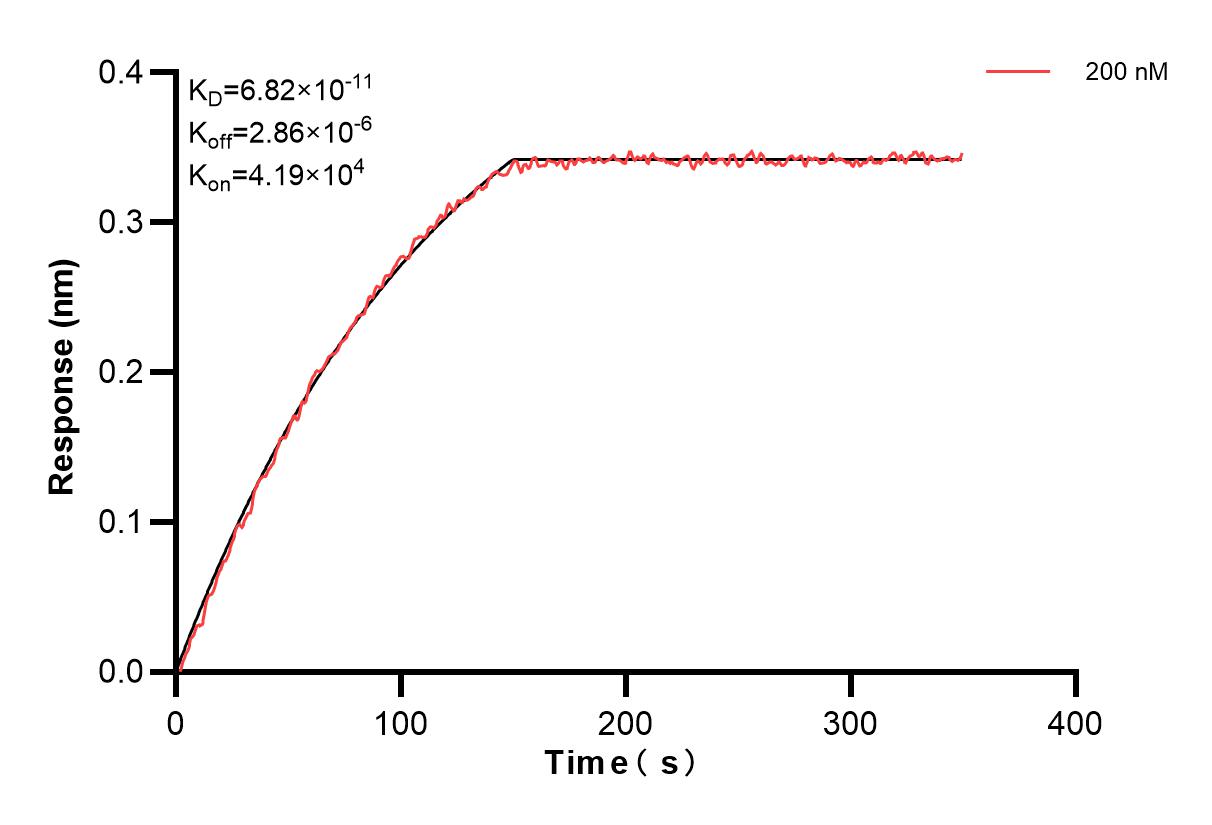 Affinity and Kinetic Characterization of 83620-5-PBS