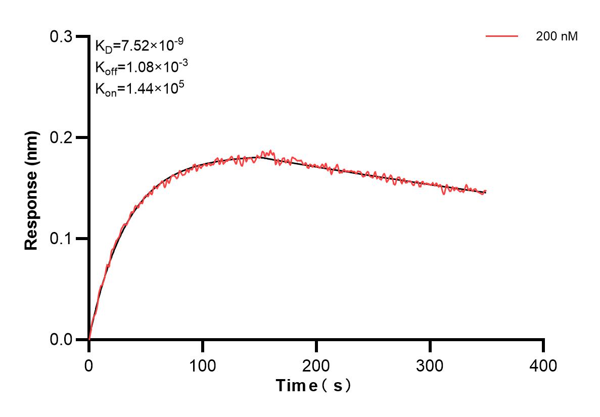 Affinity and Kinetic Characterization of 83632-4-PBS